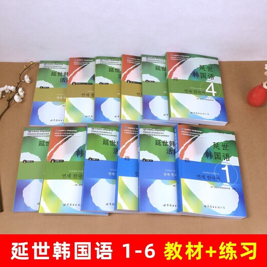 Echter vollständiger Satz von 12 Bänden von Yonsei Korean 1-6. Koreanischer Topik-Kurs. Einführungslehrbuch zum koreanischen Selbststudium + flexibles Übungsbuch. Nullbasiertes Grammatik-Wort-Tutorial. Buch zum Lesen der neuen Version von Yonsei University Korean 123456. Yonsei Koreanisch-Lehrbuch + Übungen 1-6, kompletter Satz von 12 Bänden