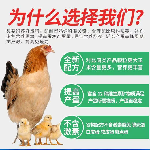 Factory direct sales 80 Jin Jin equal to 0.5 kg layer hen feed for hens, egg laying broiler fattening pellets, full price nesting breeding special 40 Jin Jin equal to 0.5 kg layer hen feed