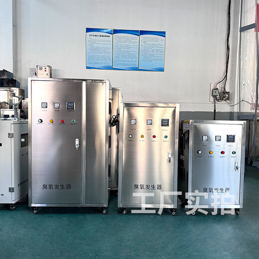 Ruixiaoquan ozone generator water treatment, disinfection, sterilization, water purification equipment, high concentration ozone machine, pure water, swimming pool, breeding water, sewage factory, pharmaceutical factory, pipeline water treatment and disinfection equipment, oxygen source 120g/h