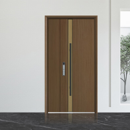 
Foaming and filling silent Class A security door hidden lintel wood grain transfer entrance door 2025 new Chinese luxury house mother door mechanical lock 2250*1050