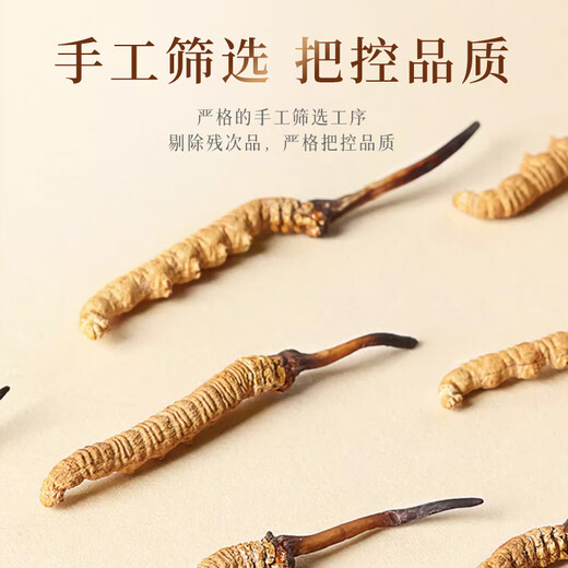 Story nutritionnel Cordyceps Cordyceps Boîte-cadeau sélectionnée de haute qualité Plein sans herbe Broken Grass Nouvel An Cadeaux Festival pour l'auto-utilisation [Selected and Body] Broken Grass 5G