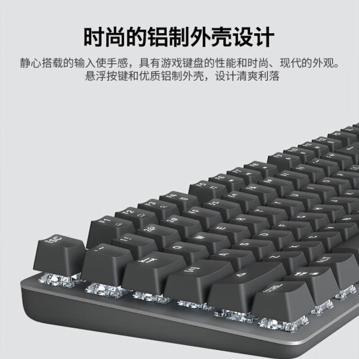 罗技（Logitech） K845机械键盘 有线游戏键盘 办公键盘104键水管工DIY键帽电竞吃鸡节日礼物 K845红轴-幽灵行者