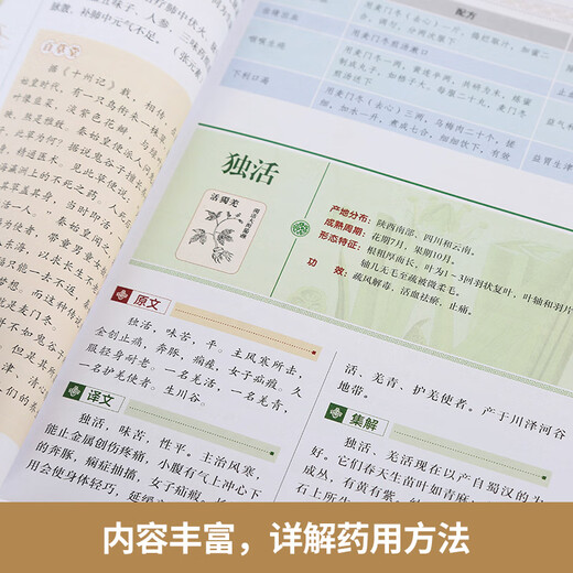 【正版】中医推拿按摩书 全2册 图解经络穴位+对症按摩大百科彩图版 零基础学会推拿按摩书籍手法 图解：神农本草经
