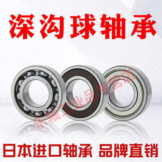 轴承 6200-6220 Z ZZ DDU VV 2RZ 2RS 2Z C3 CM NSK 6219ZZ/NSK/NSK