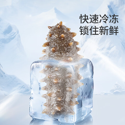 Tongrentang sea cucumber Dalian ready-to-eat sea cucumber individually packaged Liao cucumber 200g 6-8 solids 80% premium sea cucumber