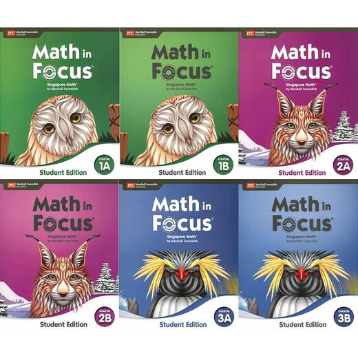 新加坡数学Math in Focus新版678年级初中数学教材原版进口MC出版 Course 3B 学生书八年级下册