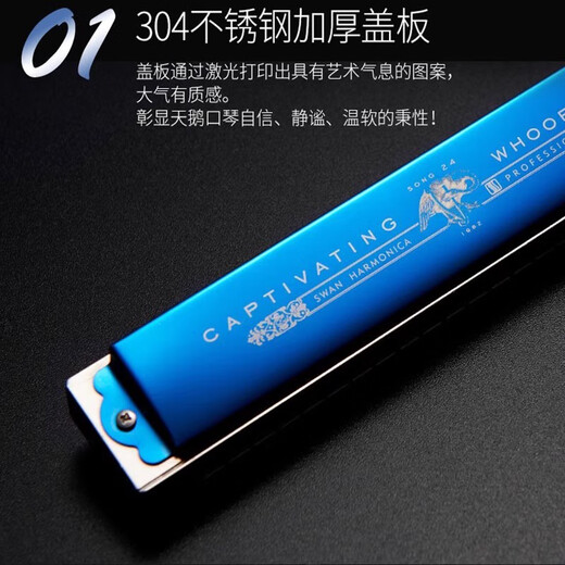 Swan allemand Cherry Swan Swan 28 trous Accent harmonica for adulte Professional Performance débutants Disque haut de gamme à 24 trous [cadeau haut de gamme] Disque Black + Accompagment U