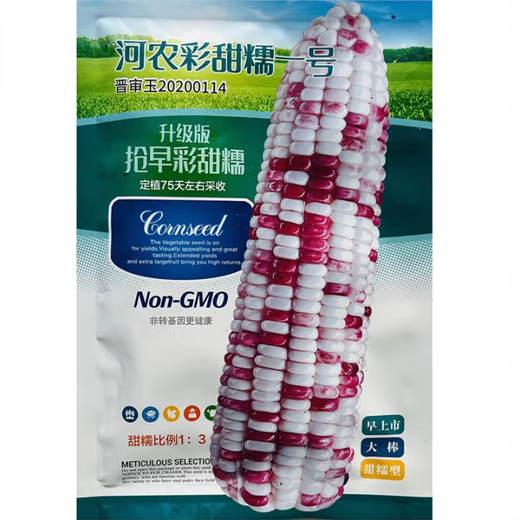 白甜糯玉米种子高产四季播白糯玉米非转国审农家超甜加糯玉米种子 澳甜糯75玉米种子原装100克