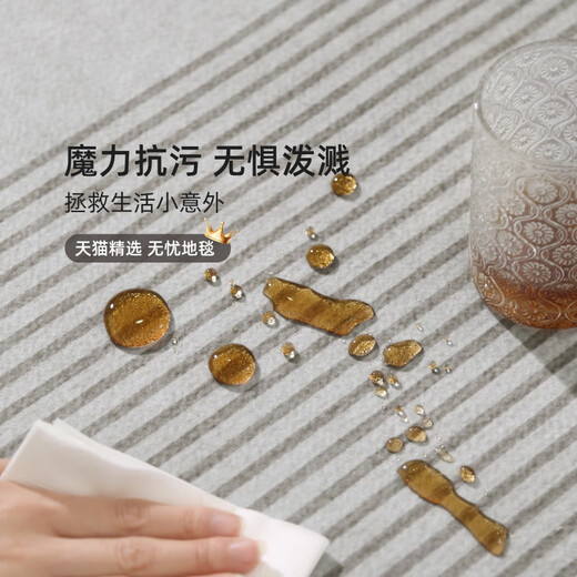 温诗欧客厅地毯免洗易打理极简风2025新款轻奢沙发地垫可擦房间卧室 15601 240*300cm(定制款)