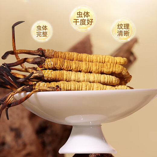 Purple and Blue Flower Sea [Naqu, Tibet] Authentique Wild Cordyceps Wild Sinensis Nouveaux cordons séchés Cordyceps haut de gamme Nutritional Box pour les parents et les aînés [Naqu, Tibet] Wild 3 Pieces / G 20G Pack