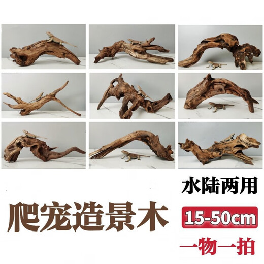 Lizard de león con múltiples mascotas sube 30-80 cm Guardias de reptiles de madera para evitar ramas de rana de árboles decorativas paisajismo H1047 Calidad
