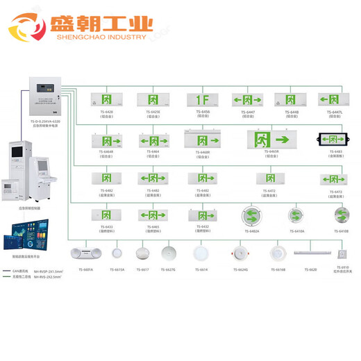 泰和安集中电源控制型消防应急照明灯具吸顶嵌墙式疏散照明指示灯 TS-ZFJC-E3W-6615B 吸顶式