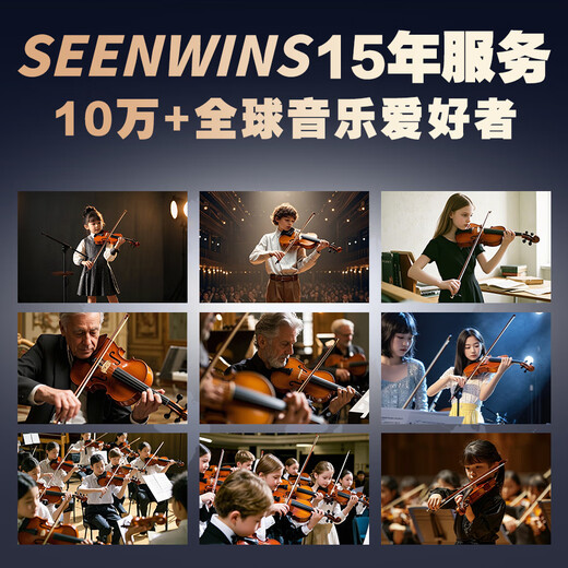 圣维斯SEENWINS1715圣维斯sw100手工小提琴官方初学者成人儿童专业级 LIGHT（亮色工艺） 4/4身高150CM以上及成人