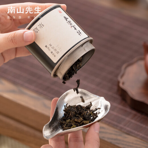 Mr. Nanshan Kung Fu tea set accessories Chinese style with teaspoon pure titanium tea set tea set tea ceremony accessories Hejian tea set Hejian tea set