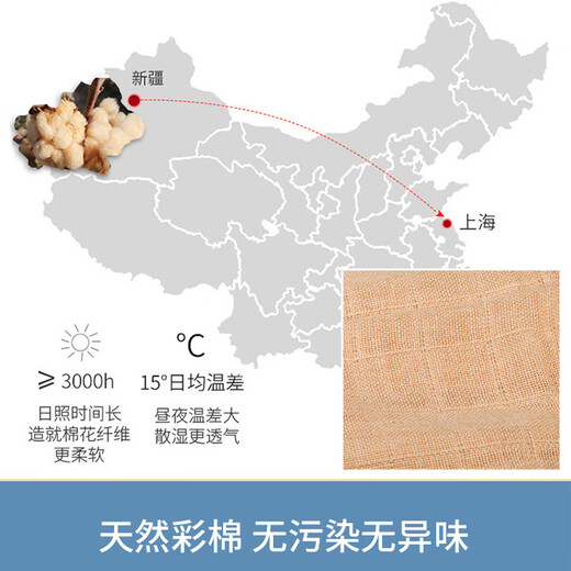 蒂乐婴儿尿布纯棉新生儿秋季可洗初生宝宝纱布尿片介子戒子可水洗 彩棉尿布10条 10条装 70*50