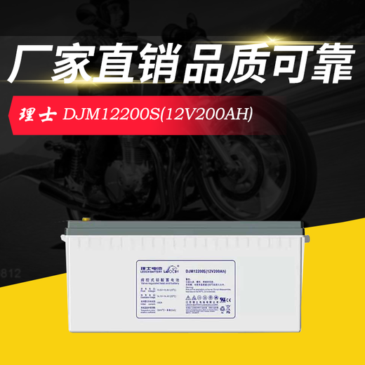 RIS Batterie DJW12-24 12V24/38/65/100/120/150/200AH Computer Room Ups EPS Netzteil DJW12200S-12v200AH