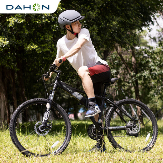 大行（DAHON）26寸27变速碟刹折叠山地自行车成年人男女山地车XAA673M 消光黑 26英寸  26英寸