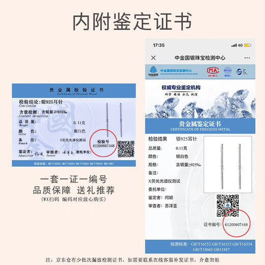 Dijing Weekly Silver Ohrringe Frauen Einfacher Ohrring-Set 2025 Neue High-End-Ohrringe Geburtstagsgeschenke für Freundin und Frau [Halskette + Wöchentliche Ohrringe] Set D699