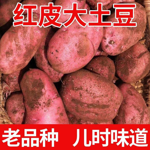 Hebei red-skinned large potatoes, fresh yellow-heart potatoes, freshly dug potatoes, ground eggs, potato noodles, hot pot wholesale, red-skinned large potatoes, 3Jin Jin is equal to 0.5kg, net weight, single fruit 150g+