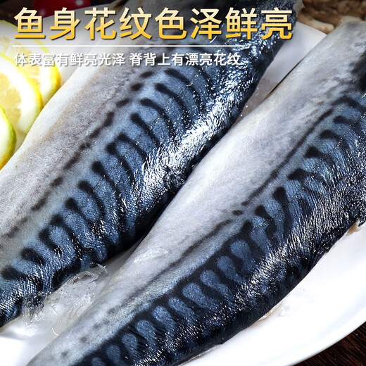 尚致挪威青花鱼鲜切青花鱼片深海鱼青占鱼新鲜冷冻青鱼鲭鱼生鲜鱼类 1000g【190-220g*5片】特大净重