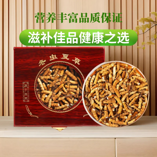 万草康仁冬虫夏草断草藏区断虫草断草中老年营养品整肉节虫草酒保健品 精选大断草 【 30克尊荣礼盒装】 送同款虫草1克