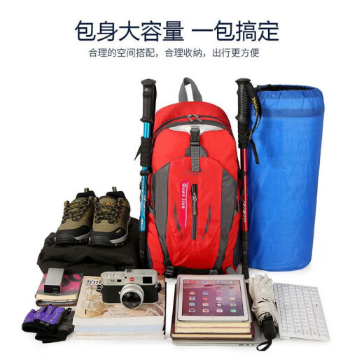 驰驴户外登山包容量大男女双肩包旅游旅行徒步运动越野背包30L 黑色