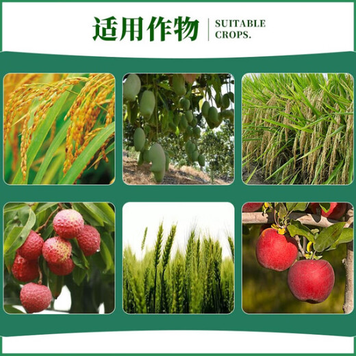 Huliankong slightly 25% paclobutrazol fruit tree rice growth control agent dwarfing agent control growth regulation chlormequat 1000g