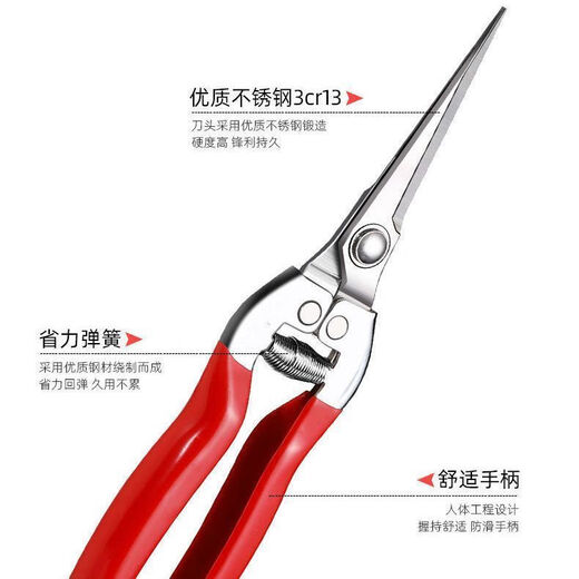 Yanran stainless steel fruit picking scissors, gardening scissors, pruning shears, imported grape pitaya scissors, special scissors for picking pepper, stainless steel fruit picking scissors, 1 pair
