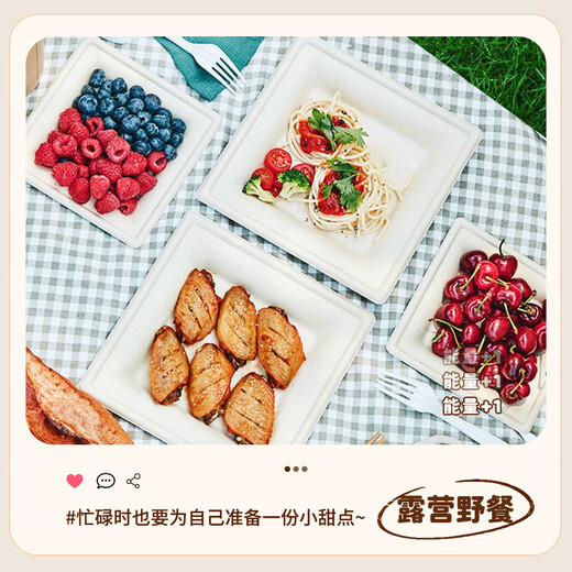 MAXCOOK Disposable Paper Plate Dinner Plate Biodegradable Cake Plate Picnic BBQ Plate 8 inches 20 pieces MCPJ7510