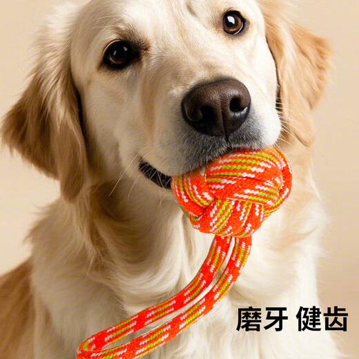 ZanChong pet interactive training 6-piece set, puppy dog toys, bite-resistant and molar cotton rope ball set, self-entertainment and boredom relief