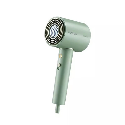 Flyco/Hair dryer for household high power high-speed dry negative ion hair care dormitory for students FH6310 Flyco FH6296 (light green) 1800W
