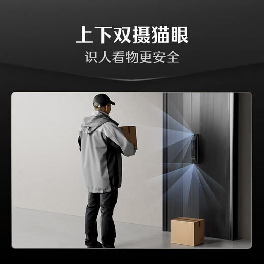 DESMAN smart door lock C-level lock cylinder 3D face recognition large screen fingerprint electronic lock Dasheng Q5FPro (lower photo version)