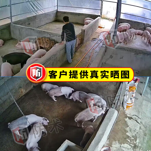 防术4g终身免流量摄像头室外监控器AI家用无线无需wifi手机远程360度无死角带夜视全景插卡不用网络