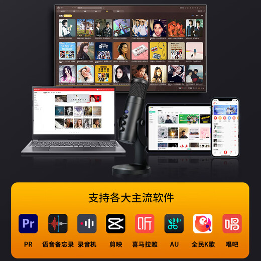 Wandi Core Upgrade Audiobook Special Recording Equipment Himalayan Dubbing Microphone Online Class K Singing Live Broadcast Microphone Mobile Computer USB Noise Reduction Conference Android Apple Pro Upgraded Version - Computer Only Professional Recording + Built-in Sound Card