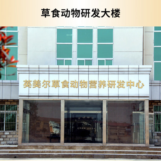 British American cattle feed premix for beef cattle during the fattening period 5% special feed additive for cattle during the fattening period B (4% calf premix) 20 years of history