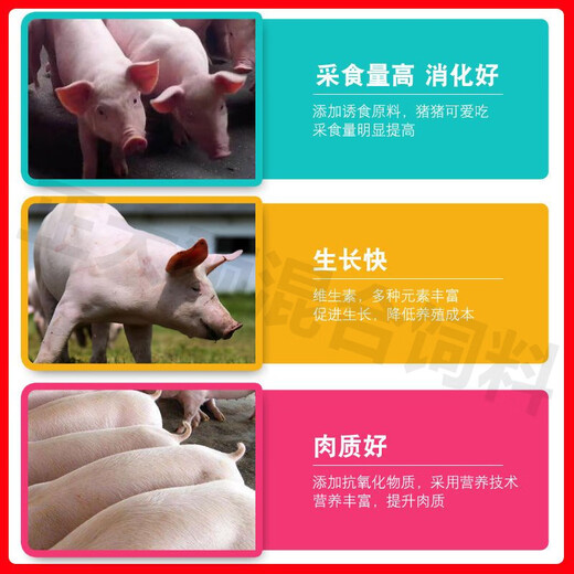Zhengda fully automated monitoring Zhengda 4% pig premix feed medium pig large pig fattening pig replacement sow imported 4% large pig premix 20Jin Jin equals 0.5 kg