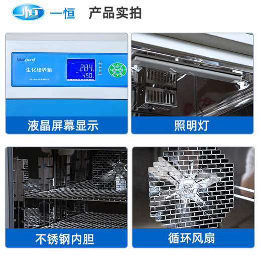 Huilide Shanghai Incubadora bioquímica Kit de prueba de moho bacteriano Clima artificial Constante Temperatura constante Kit de prueba de humedad constante eléctrica Incubadora de temperatura constante DHP-9272