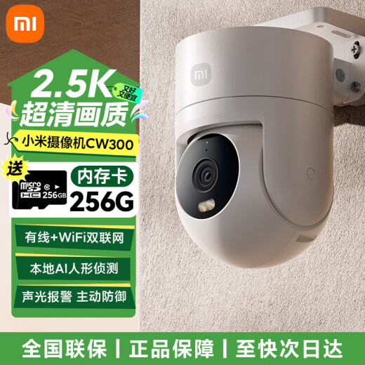 小米室外摄像头CW300户外家用监控器远程360度无死角带全彩夜视400万像素2.5K画质防尘防水 双向语音 CW300+256G/10%用户选购
