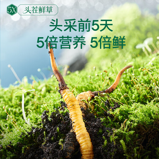 Ayishe Fresh First Cordyceps 0,7 à 0,8 g / 50 Corcons de sucre sucre à sucre sucre sucre sucre sucre sucre sucre sucre sucre sucre sucre sucre sucre sucre Sucre sucre sucre sucre sucre sucre sucre sucre sucre sucre sucre sucre sucre sucre sucre sucre