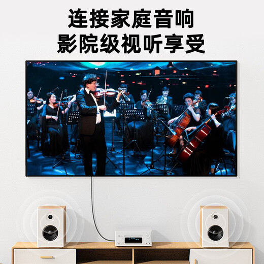 毕亚兹 发烧级纯铜音频线 音响线 音箱线 喇叭线 发烧级 增强型屏蔽抗干扰 纯铜50芯 10米