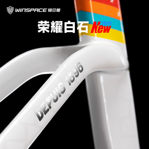 银贝斯C5金刚2代【破风版】碳纤维气动架公路自行车2025新款破风架 荣耀白石 【2025新涂装】 S码465(建议身高163-171cm) 7170电变+一体把+HARD50碳轮
