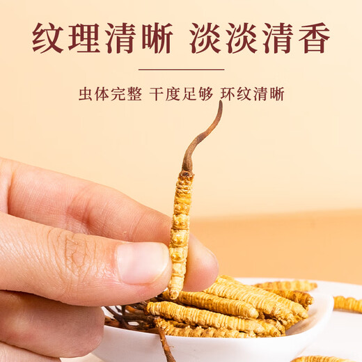 Cordyceps authentiques authentiques Cordyceps 3 Racines / g 50 boîtes-cadeaux Cordyceps Grass ininterrompus Gifts à haute altitude 3 Racines / G 3 Racines (Spécifications) 10 paquet de dégustation