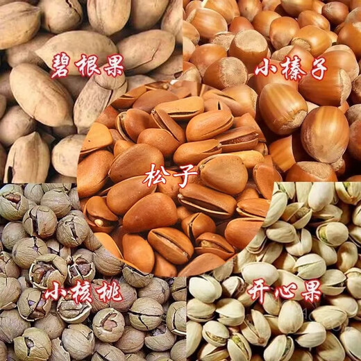 Jieyi hazelnut clip artifact hazelnut clip pine nut opener pine nut clip nut clip nut shell opener walnut clip 1 dried fruit clip