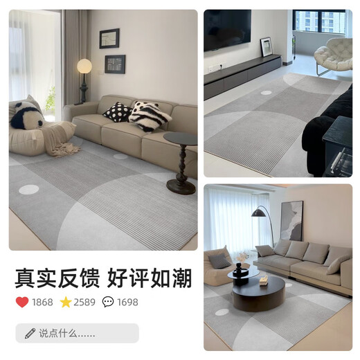 温诗欧客厅地毯免洗易打理极简风2025新款轻奢沙发地垫可擦房间卧室 15601 240*300cm(定制款)
