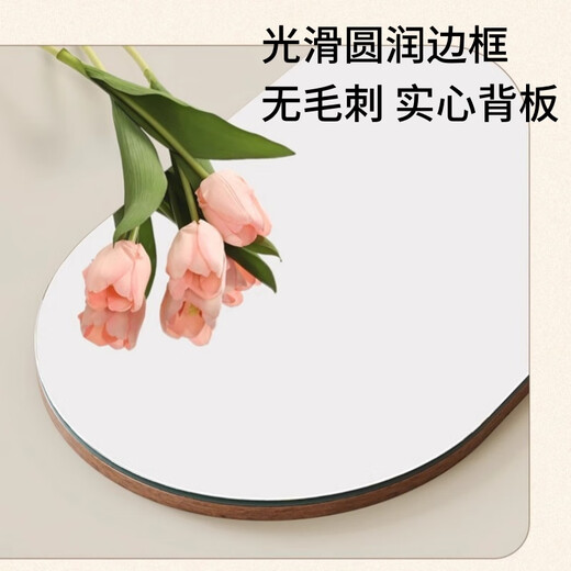 小匠材全身镜家用穿衣镜入户玄关镜挂墙置物试衣镜可壁挂镜子衣挂一体镜