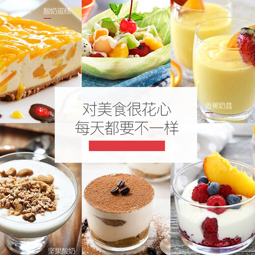 JUNMO Home Edelstahl Joghurtmaschine Kleine Größe Mini Reis Wein Natto Fermentation Maschine Vollautomatischer Schlafsaal isst saure Blau -Größe (Geben Sie 40 kleine Phagensis -Pulver)