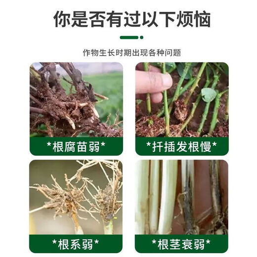 Powerful Rooting Powder Rapid Rooting and Seedling Strengthening Agent Rooting Powder Rapid Rooting Powerful Rooting Liquid Rooting Powder for Transplanting Rooting Powder 1Jin Jin is equal to 0.5kg, 3 packs
