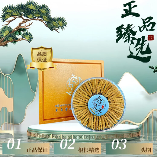 Selected authentic snow mountain cordyceps sinensis genuine first-stage fresh cordyceps 50g gift box for 4 pieces/gram dry goods Tibet Nagqu Cordyceps 50 pieces for 4 pieces/gram