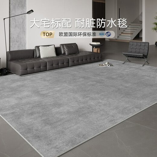 Jingyan Boutique Carpet Living Room 2024 Новое легкое роскошное одеяло на диван без стирки, выявленное сгущенное сплошное цветовое покрытие.