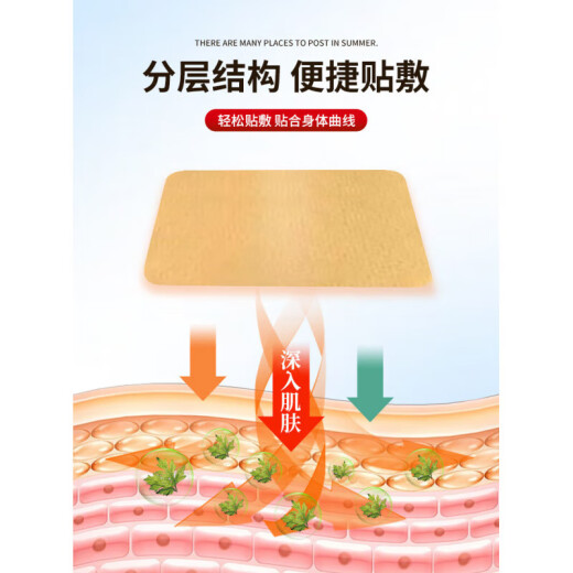 圣麟草氨糖软骨素贴艾草透骨软骨贴艾灸关节膝盖通用营养贴 1盒SN9764 2盒